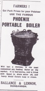 phoenix portable boiler 26.10.35 001