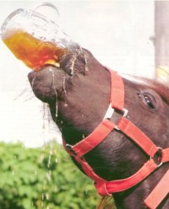 DrinkingHorse