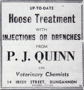 QUINNS VETS 1963 001