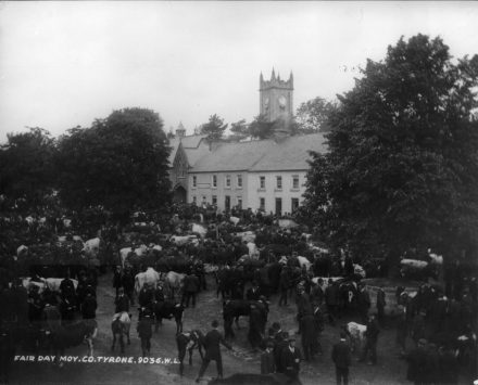 MOYFAIR13925795_508777105998183_7391877734979593369_o