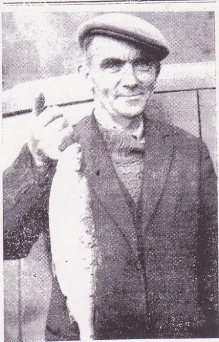 largest-pollen-27-2-65-001